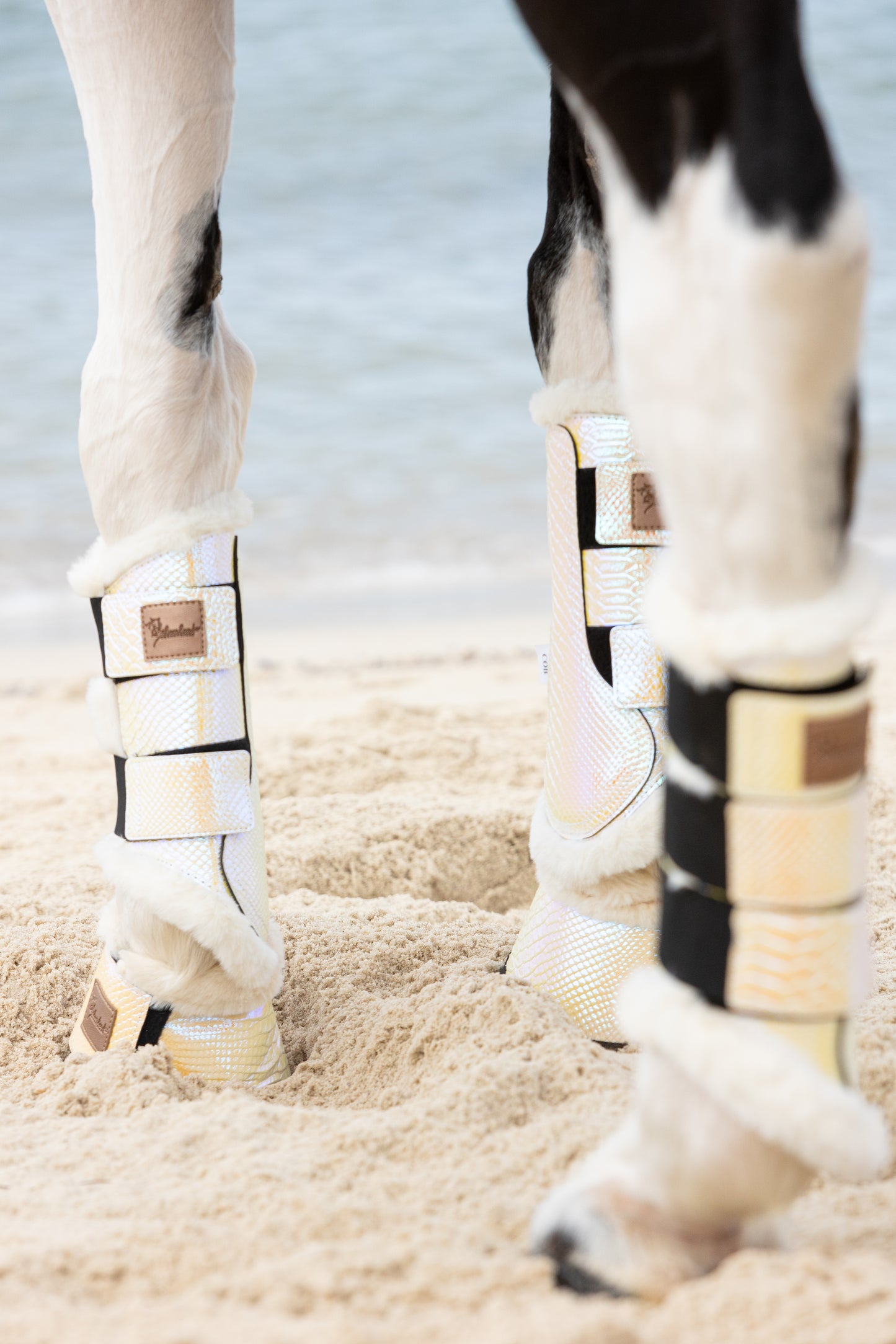 Seashells Tendon Boots - Limited Edition