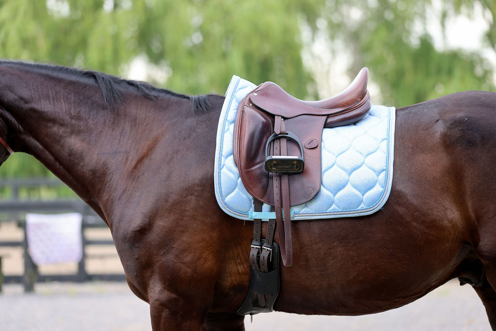 Fairy Floss Saddle Pad - Limited Edition