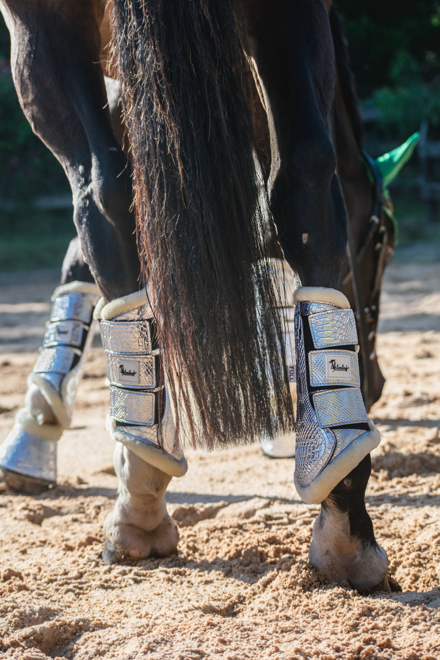 Wattle Tendon Boots