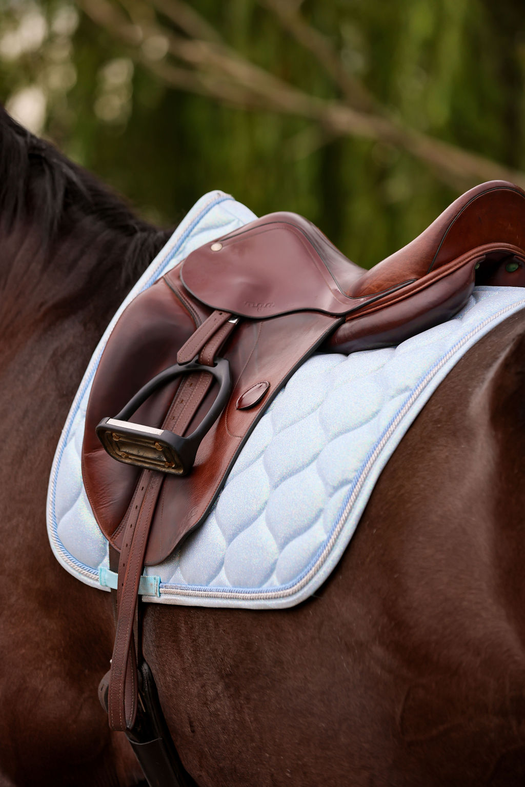 Fairy Floss Saddle Pad - Limited Edition