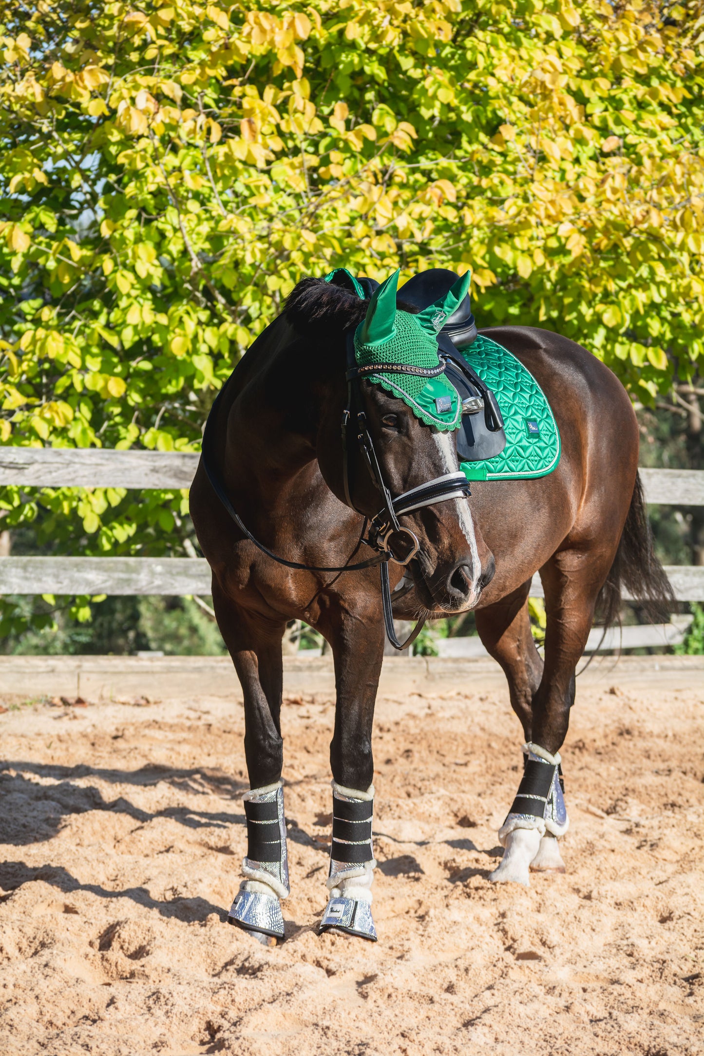 Ivy Saddle Pad