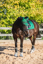 Load image into Gallery viewer, Ivy Saddle Pad