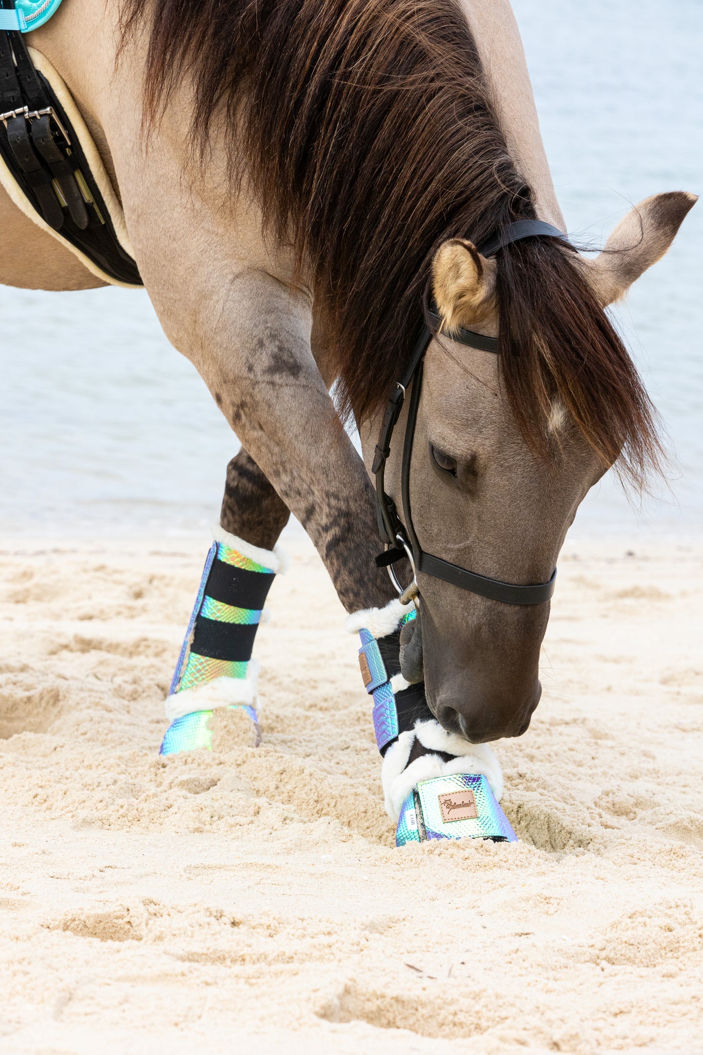 Riptide Tendon Boots - Limited Edition
