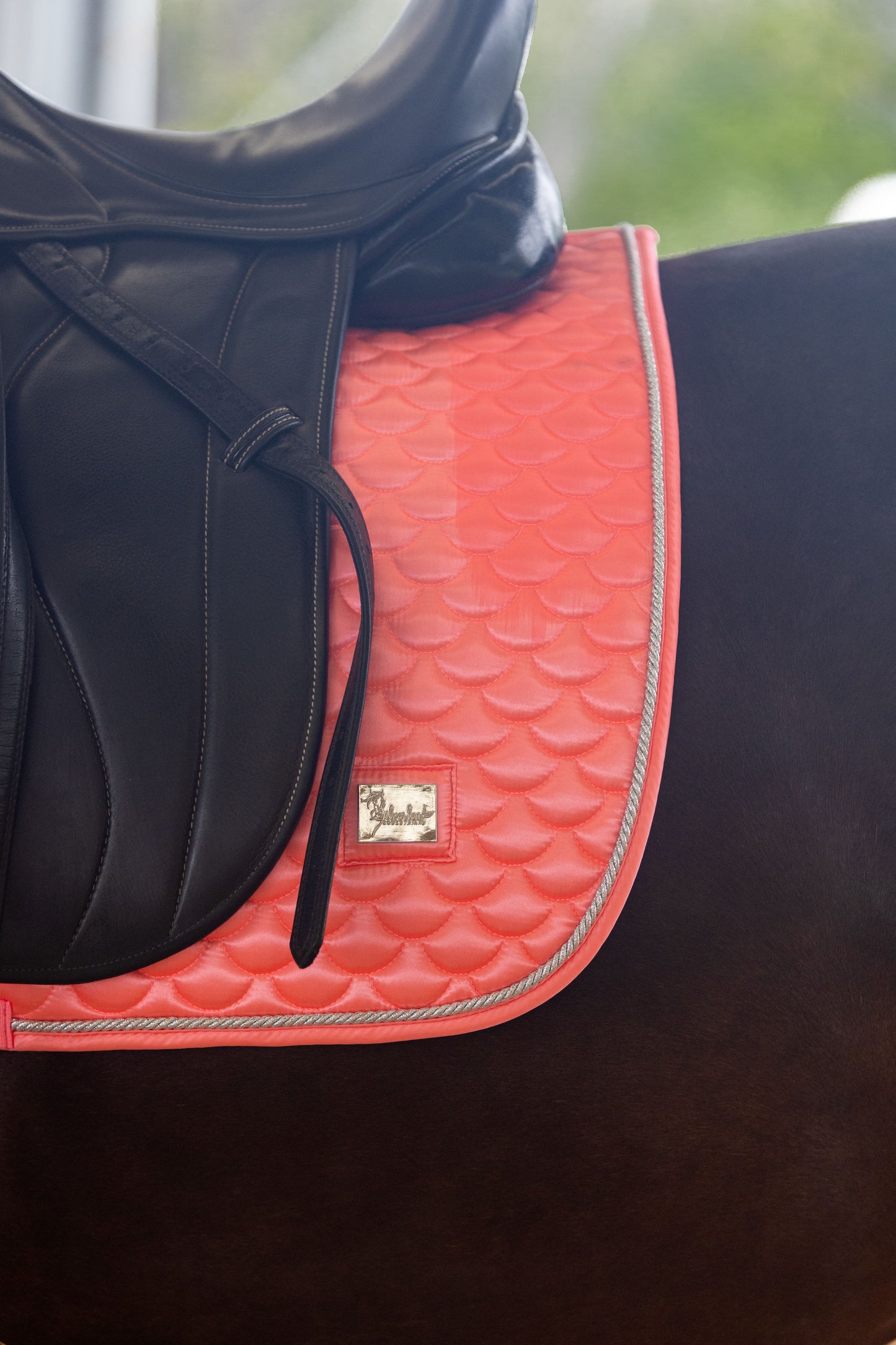 Bikini Saddle Pad - Limited Edition
