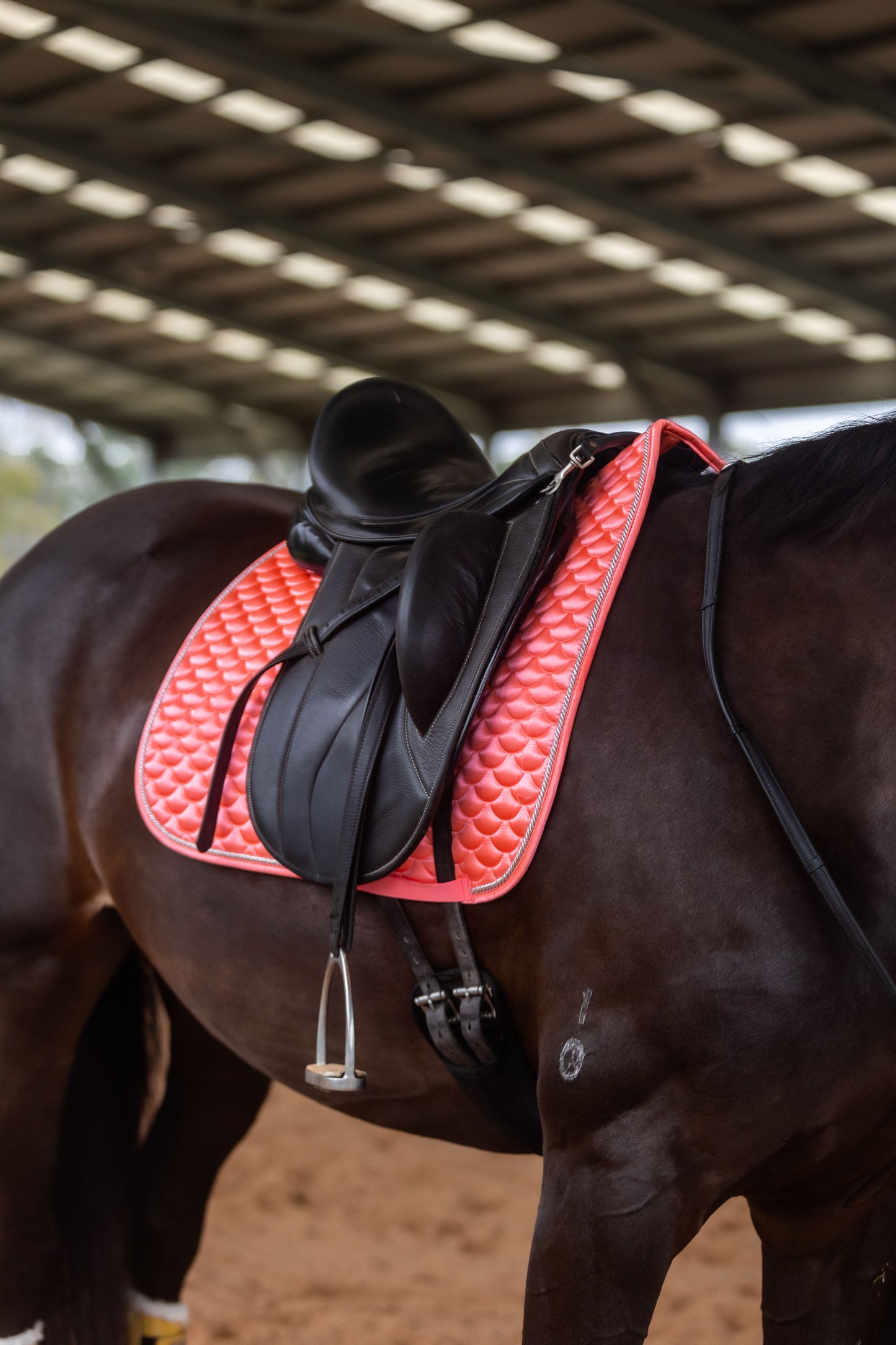 Bikini Saddle Pad - Limited Edition