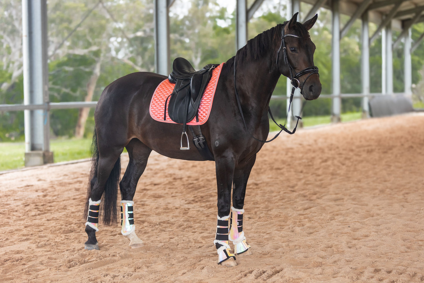 Bikini Saddle Pad - Limited Edition