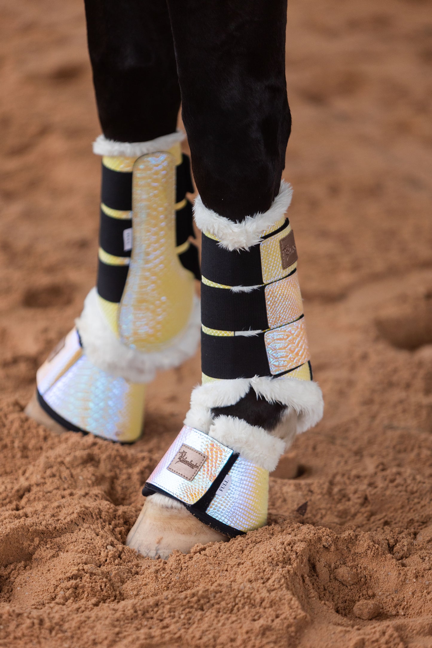 Seashells Tendon Boots - Limited Edition