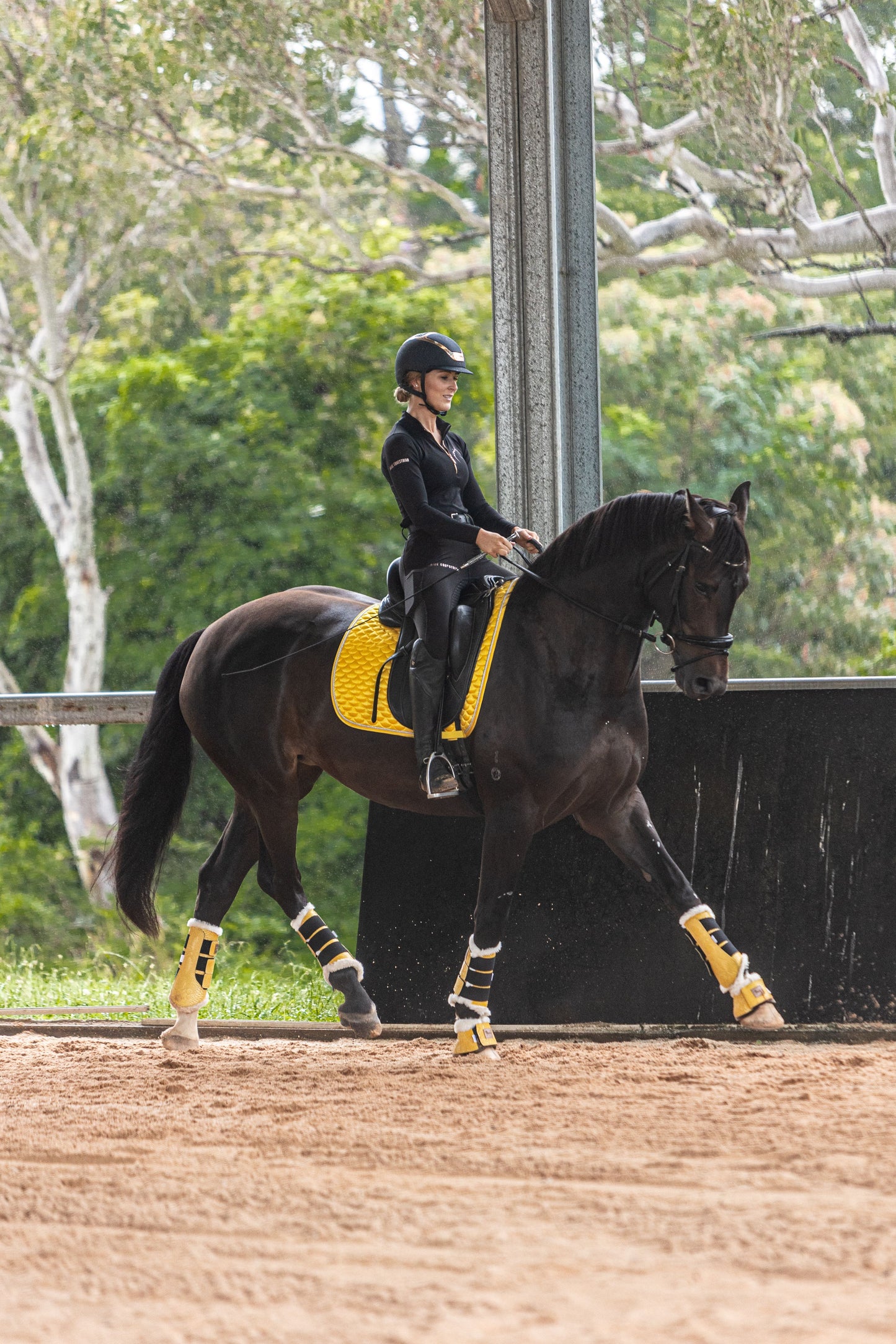 Sunshine Saddle Pad - Limited Edition