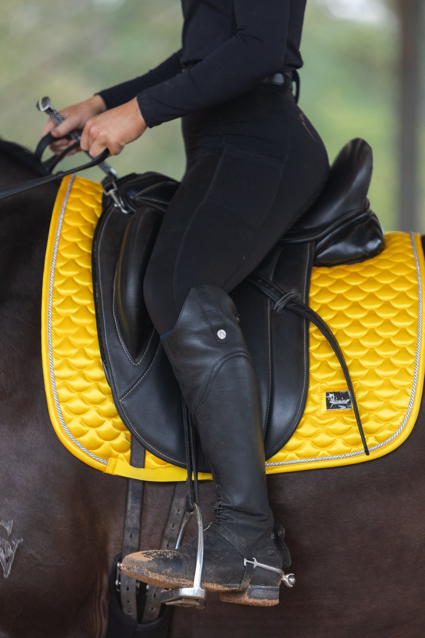 Sunshine Saddle Pad - Limited Edition