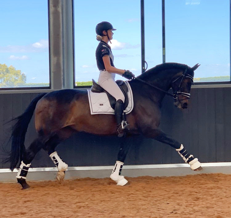 Haven Tendon Boots