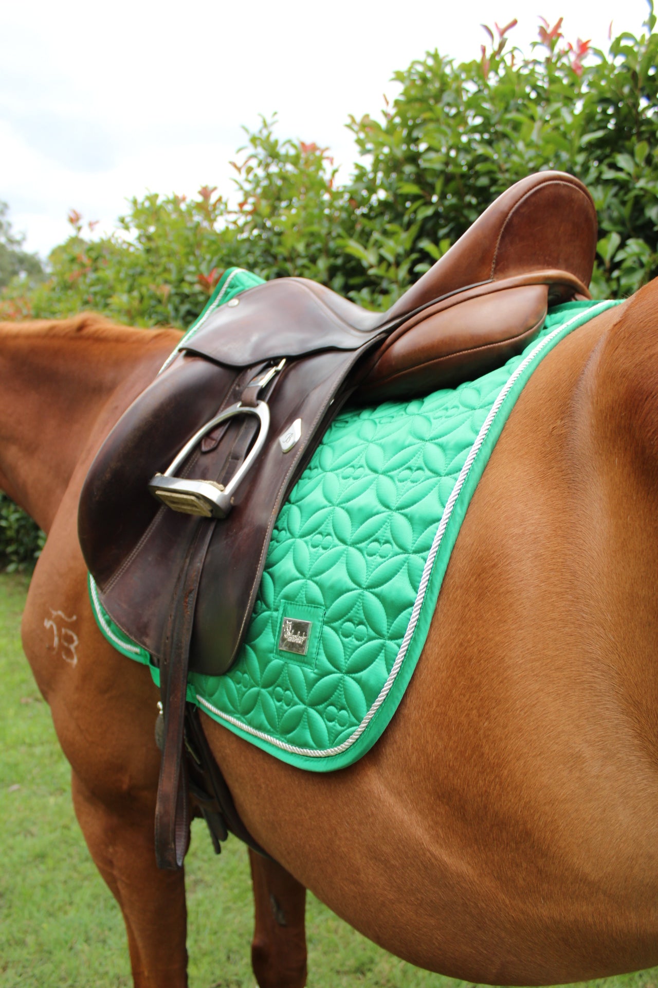 Ivy Saddle Pad