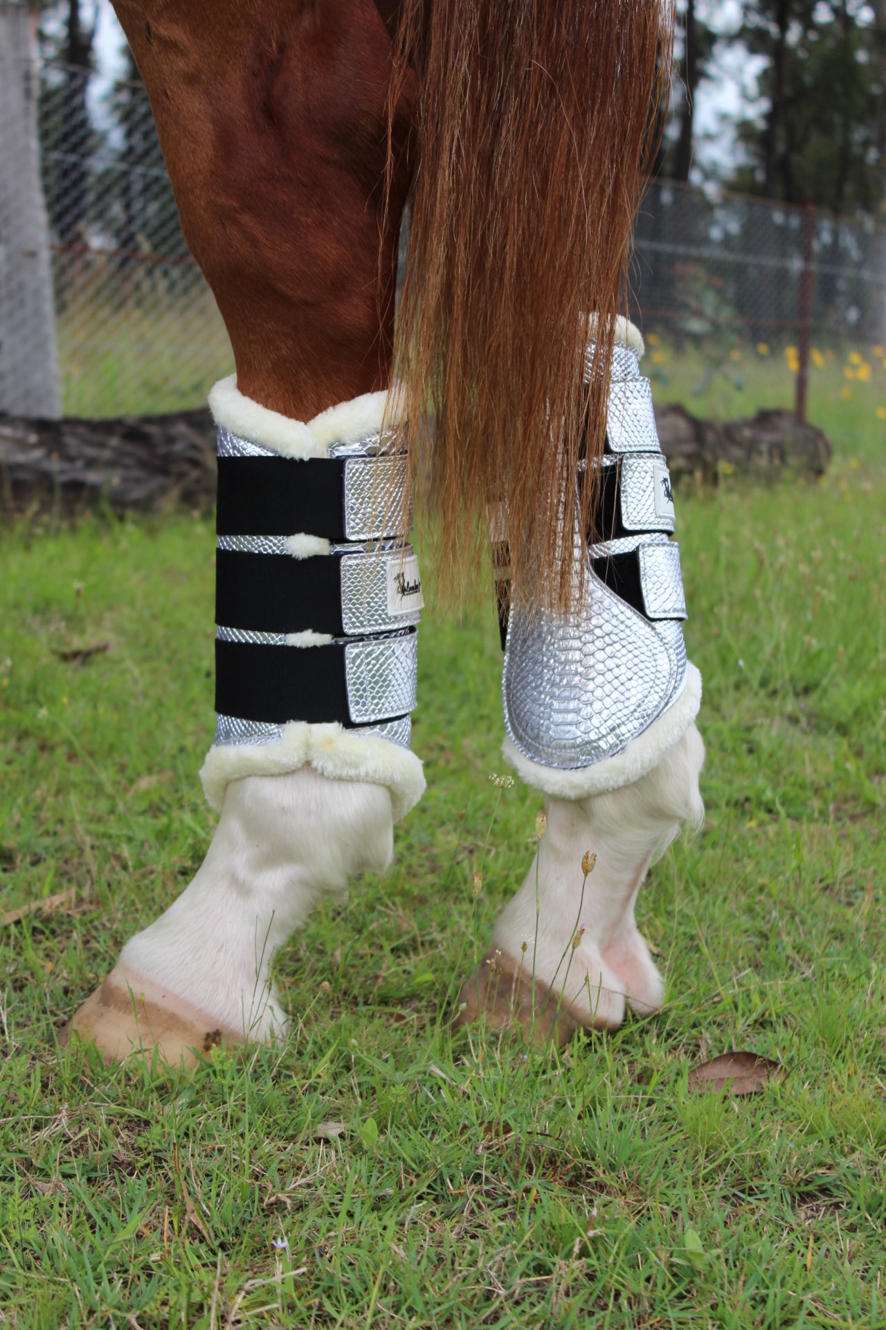 Wattle Tendon Boots