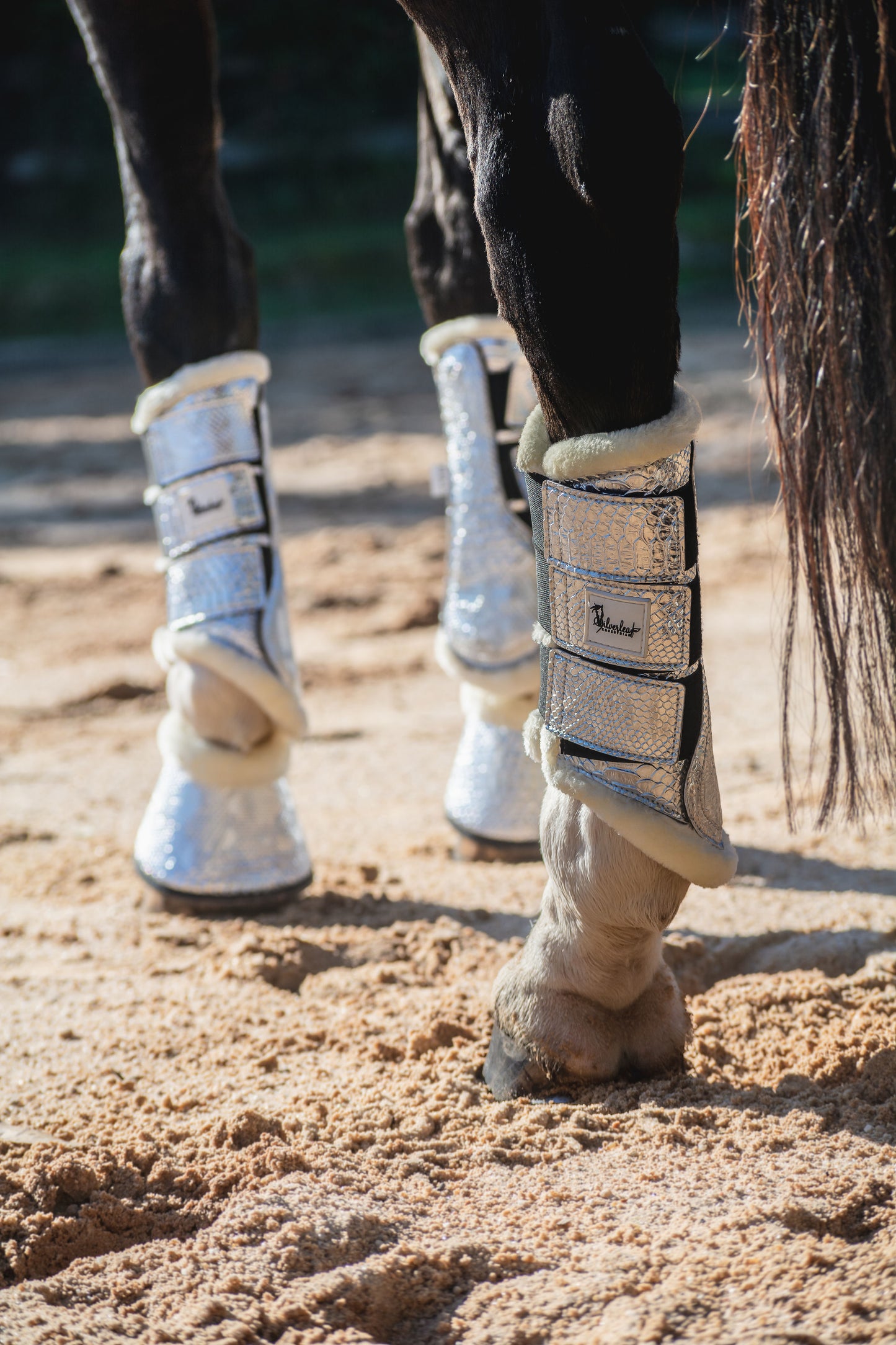 Wattle Tendon Boots