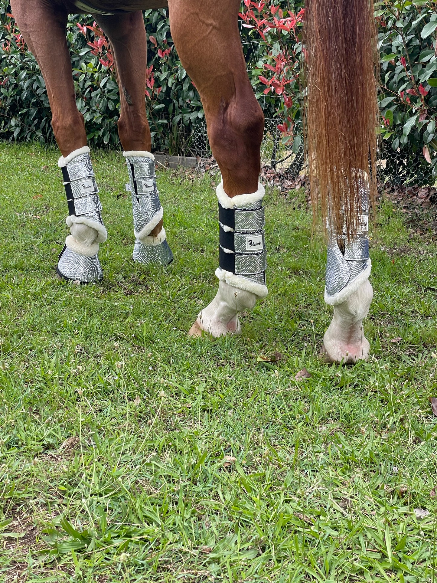 Wattle Tendon Boots