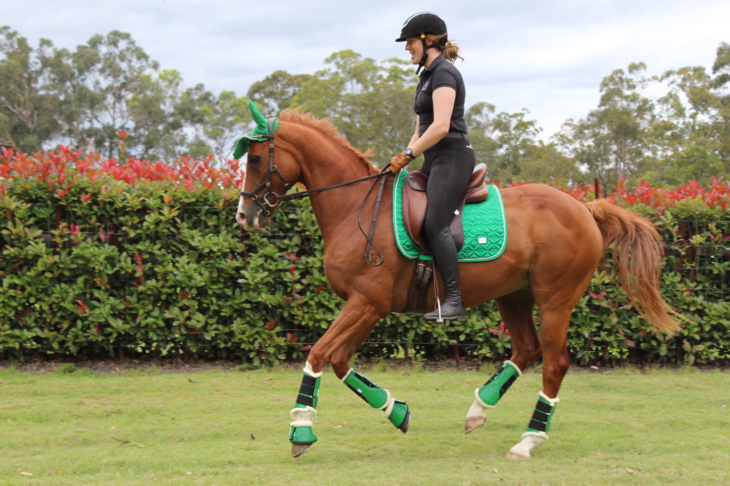 Ivy Saddle Pad