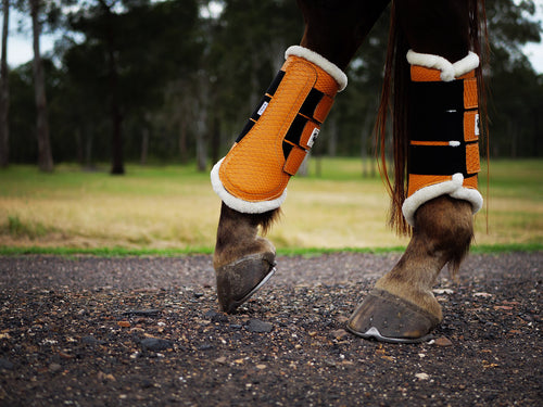 Dusk Tendon Boots - Limited Edition
