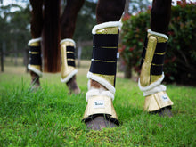 Load image into Gallery viewer, Golden Hour Tendon Boots - Limited Edition