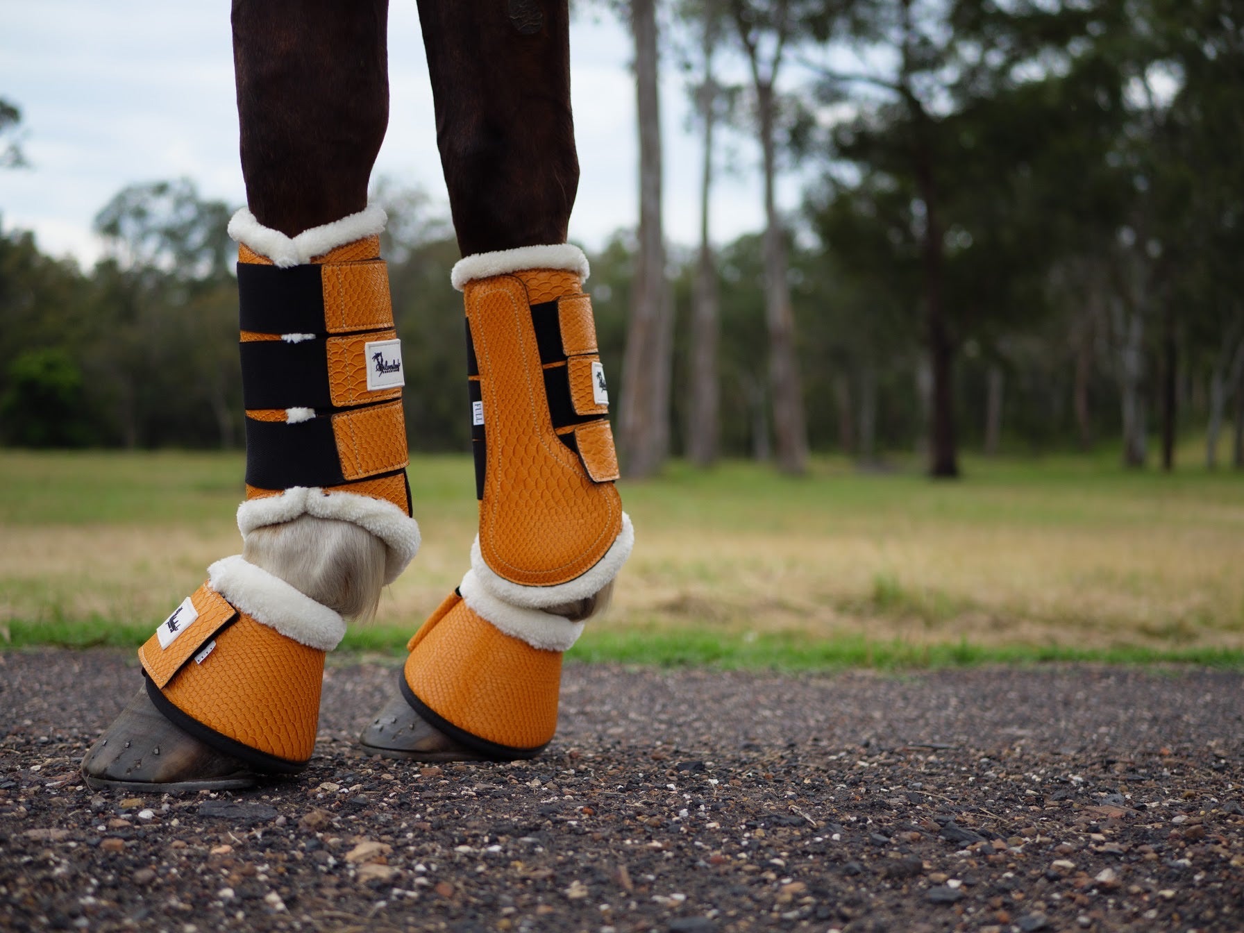 Orange horse boots Clearance